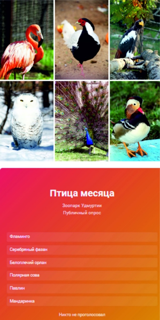 ������� ������������������-2.jpg